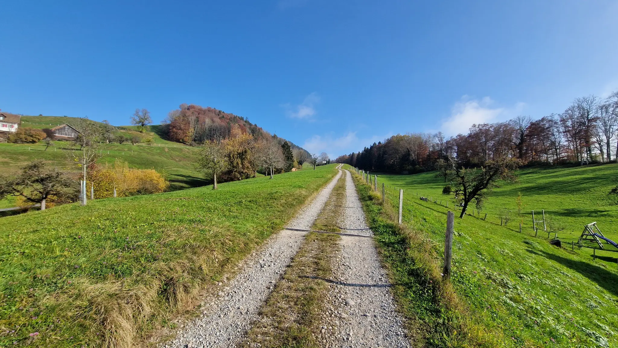Laupen lange Gerade2